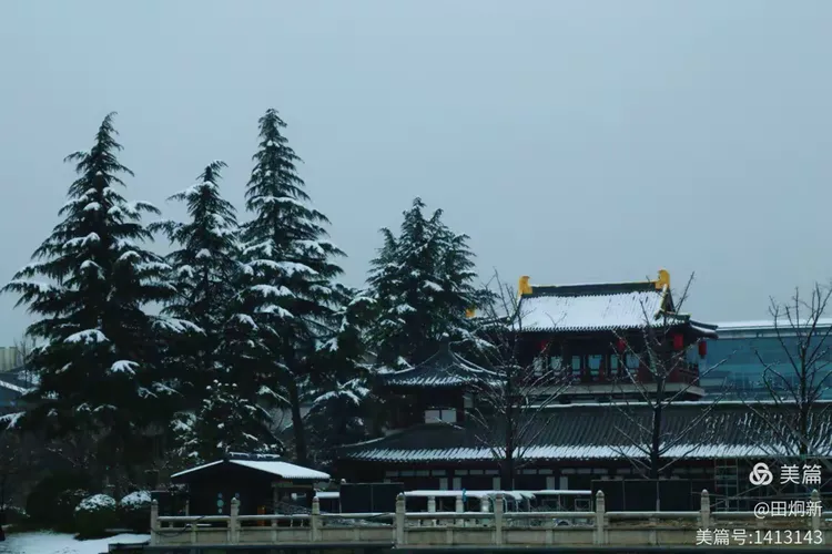 粉妆玉砌芙蓉园